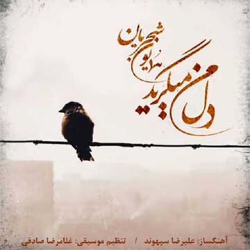 کاور آهنگ دل من میگرید از همایون شجریان