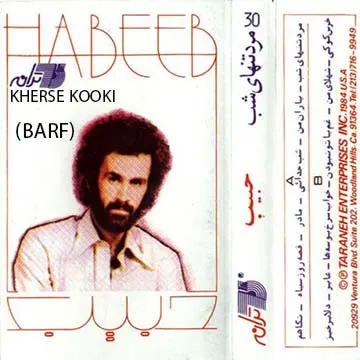 کاور آهنگ برف از حبیب