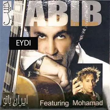 کاور آهنگ عیدی از حبیب