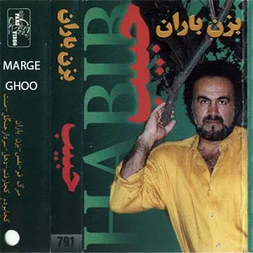 کاور آهنگ مرگ قو از حبیب